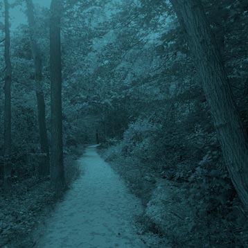 naturopathic treatment for lyme disease