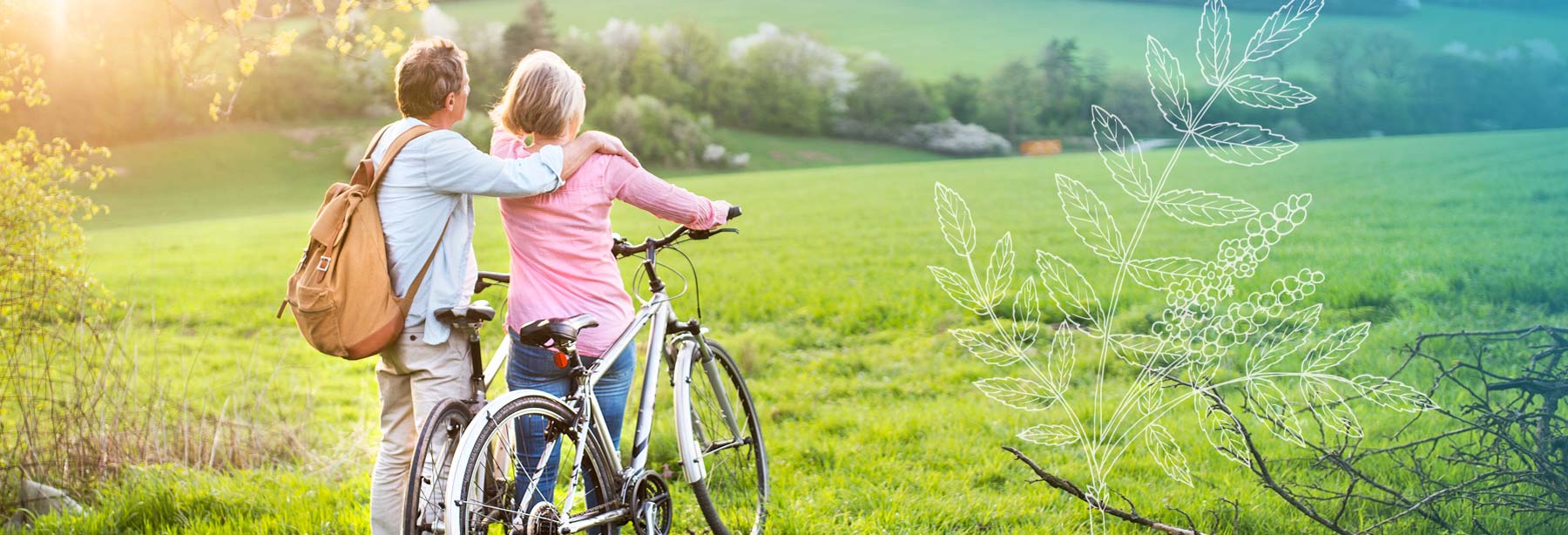 comprehensive natural medicine therapies in Southern Oregon
