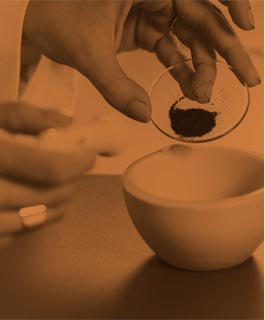 in-house laboratory